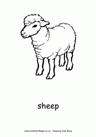 Download Sheep Colouring Pages