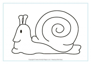 Snail Colouring Page