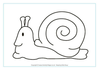 Snail Colouring Page