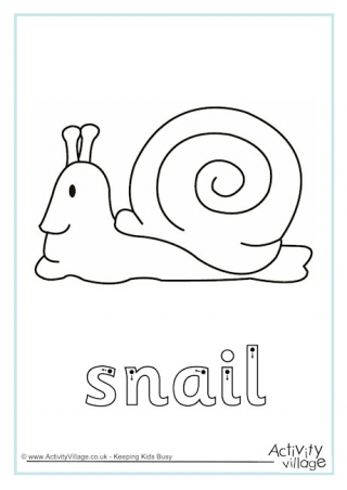 Snails for Kids