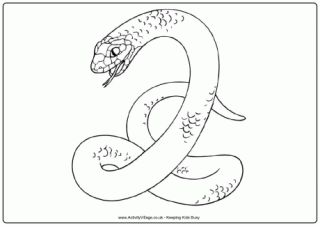 Snake Colouring Page