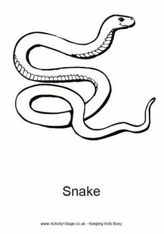 Snake Colouring Page 2