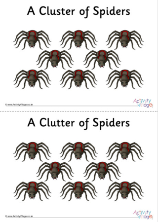 Spider Collective Noun Poster