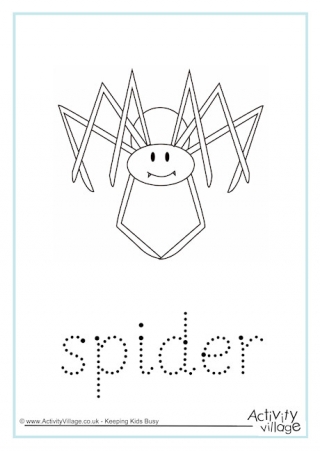 Spider Worksheets