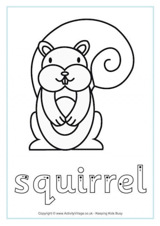 Squirrel Finger Tracing