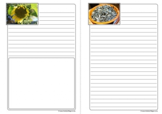 Sunflower Life Cycle Notebooking Pages
