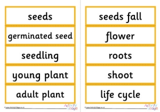Sunflower Life Cycle Word Cards