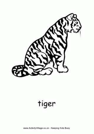 Tiger Colouring Page