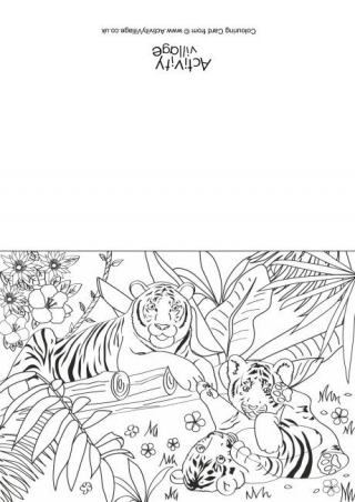 Tiger Colouring Pages