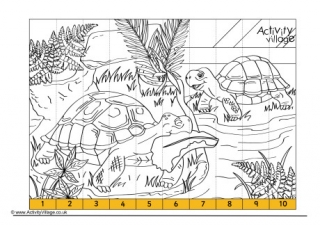 Tortoise Printables