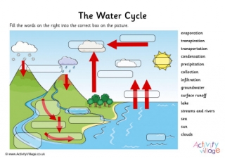 Water Cycle Labelling Worksheet 1