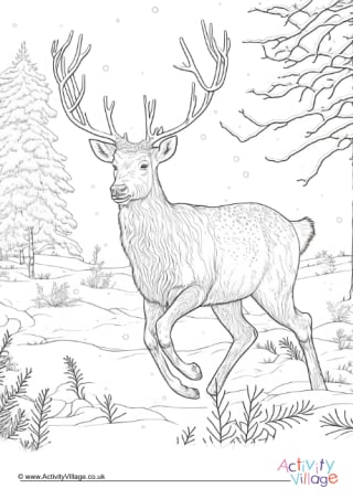 whitetail deer coloring pages