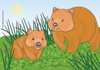Wombat Scene Poster