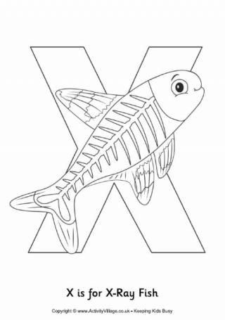 animal alphabet colouring pages for kids