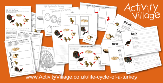 New Life Cycle of a Turkey Pages