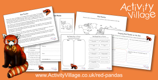 New Red Panda Printables