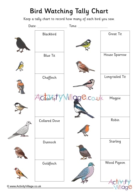birds chart