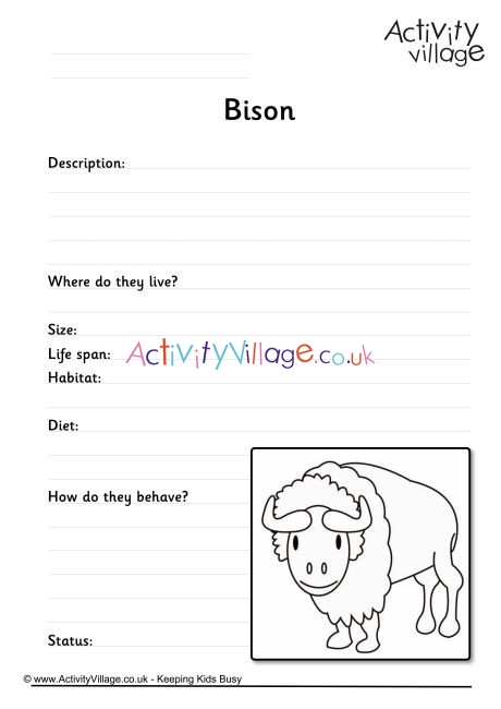 Bison Worksheet
