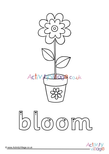 Bloom Finger Tracing