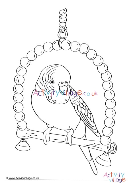 Budgie Colouring Page 3