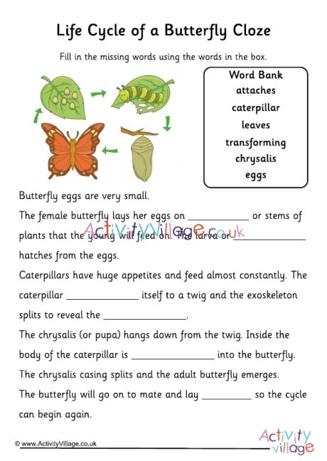 life cycle of a butterfly worksheet