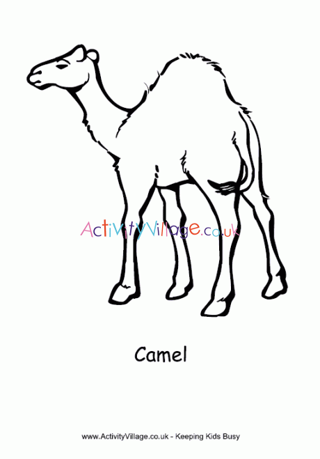 22 Fun & Educational Camel Activities for Kids - Kids n Clicks