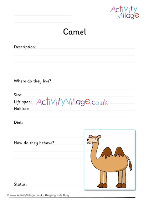 Camel Worksheet