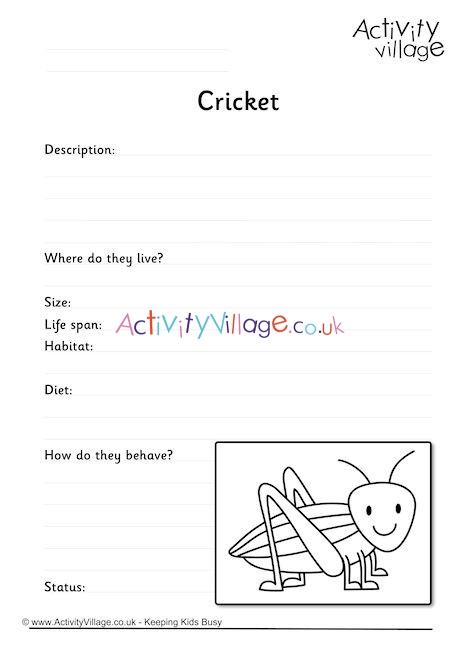dice-cricket-maths-game-teaching-resources