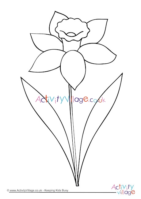 free printable coloring pages about daffodils