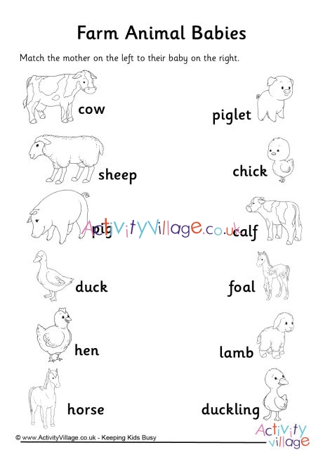 match the animal to its baby answers
