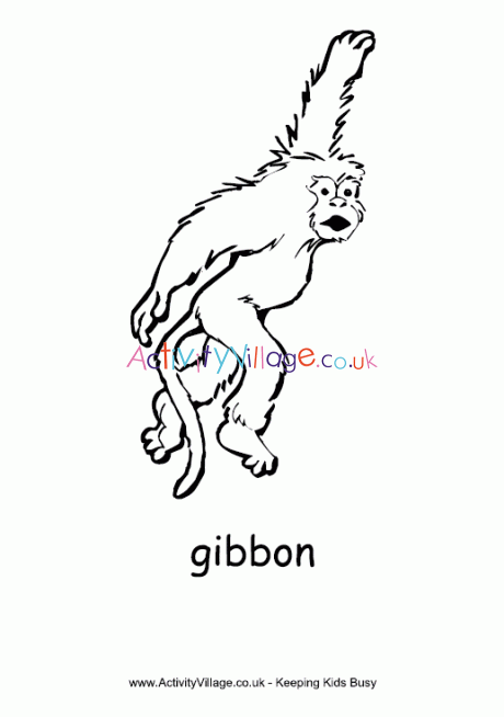 Gibbon colouring page