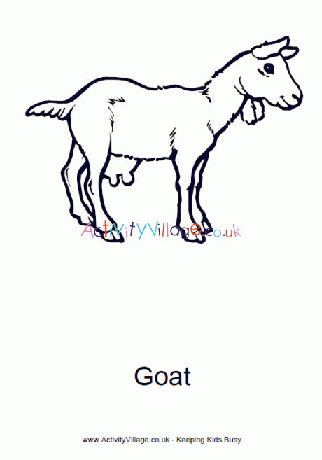 Goat Portrait Vector Color Drawing Stock Vector (Royalty Free) 496901449 |  Shutterstock