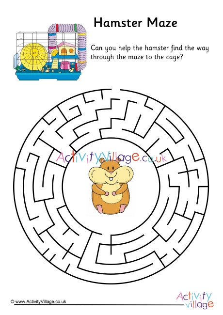 hamster maze design