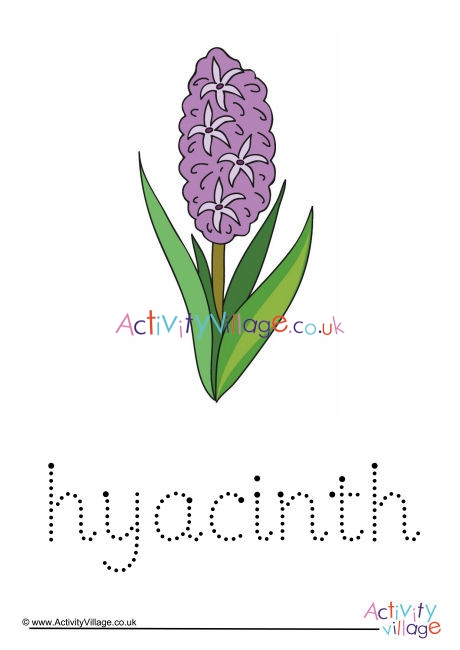 Hyacinth Word Tracing