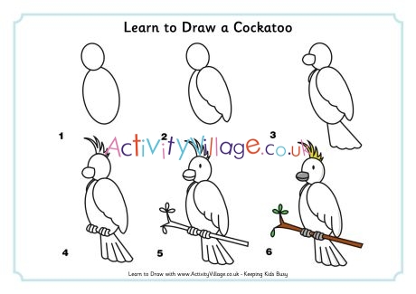 Learn To Draw A Cockatoo