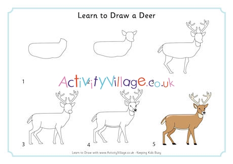 how to draw a deer step by step