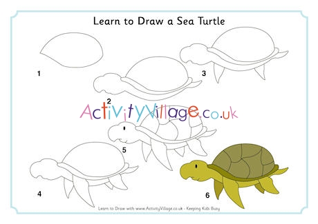 how to draw a sea turtle step by step