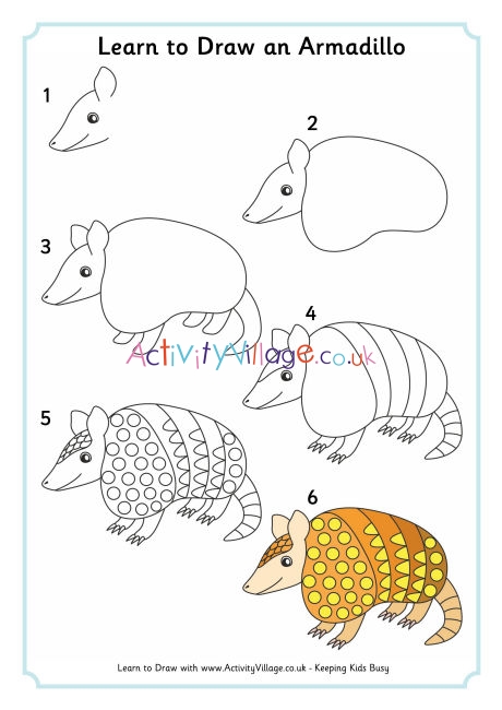 Top How To Draw An Armadillo of the decade Learn more here 