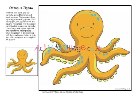 octopus anatomy for kids