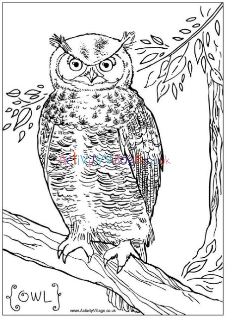 owl worksheets and coloring pages