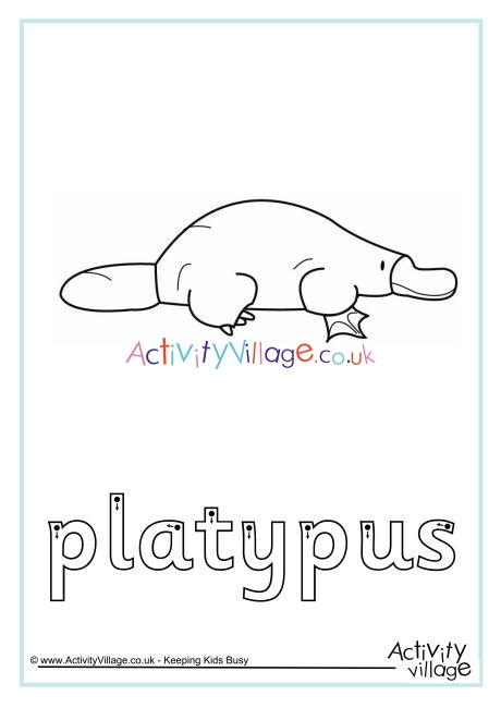 Platypus Finger Tracing