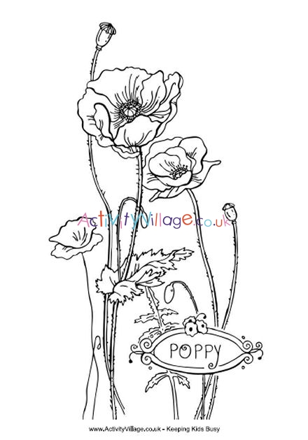 remembrance poppy colouring sheet