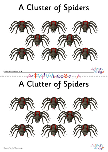 Spider Collective Noun Poster