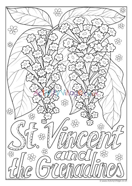 Download St Vincent And The Grenadines National Flower Colouring Page