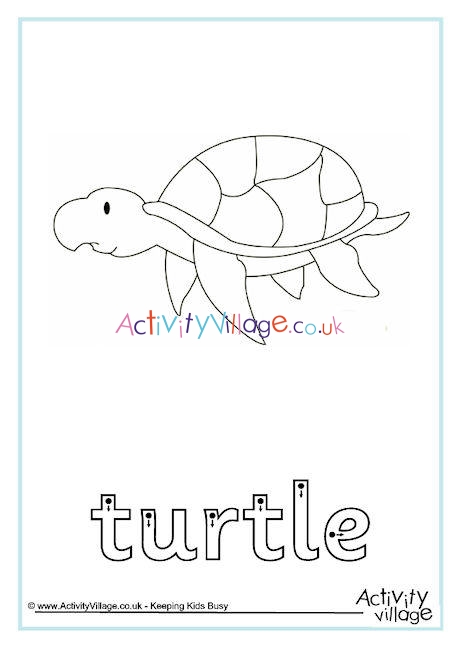 Turtle Finger Tracing