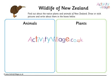 Wildlife Of New Zealand Worksheet